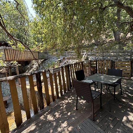 B & B Le Casette Sull'Albero Di Villa Alba Mesyna Zewnętrze zdjęcie