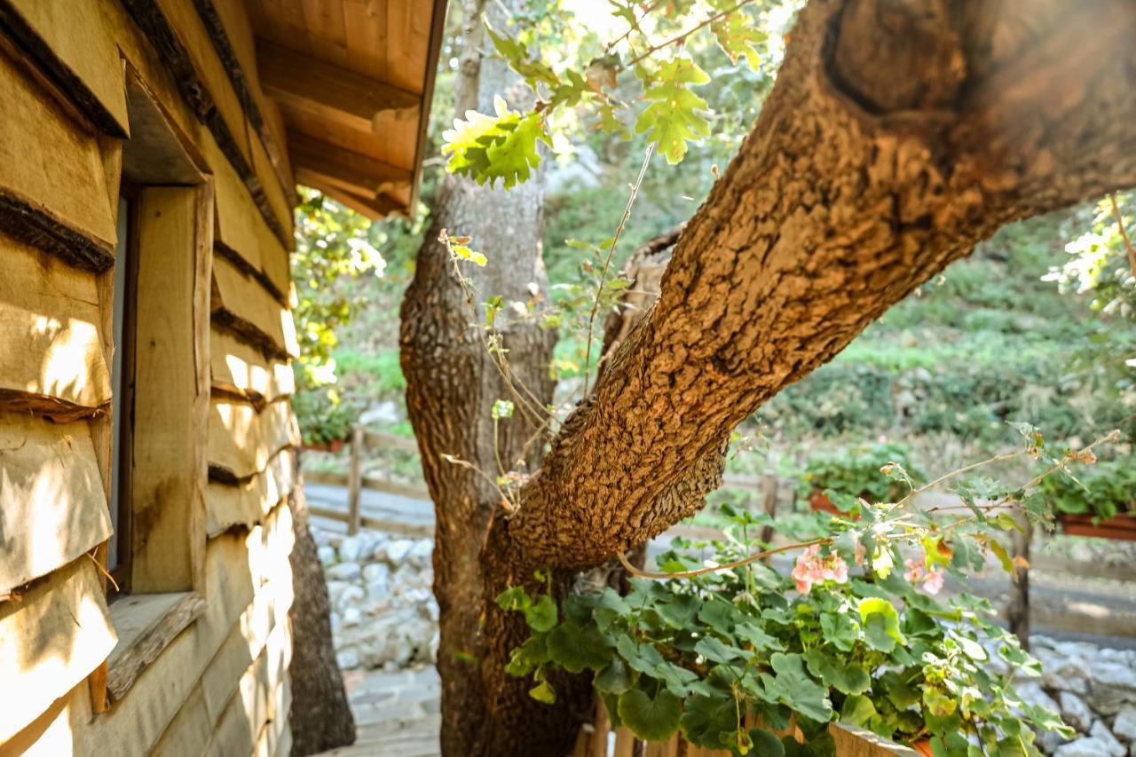 B & B Le Casette Sull'Albero Di Villa Alba Mesyna Zewnętrze zdjęcie