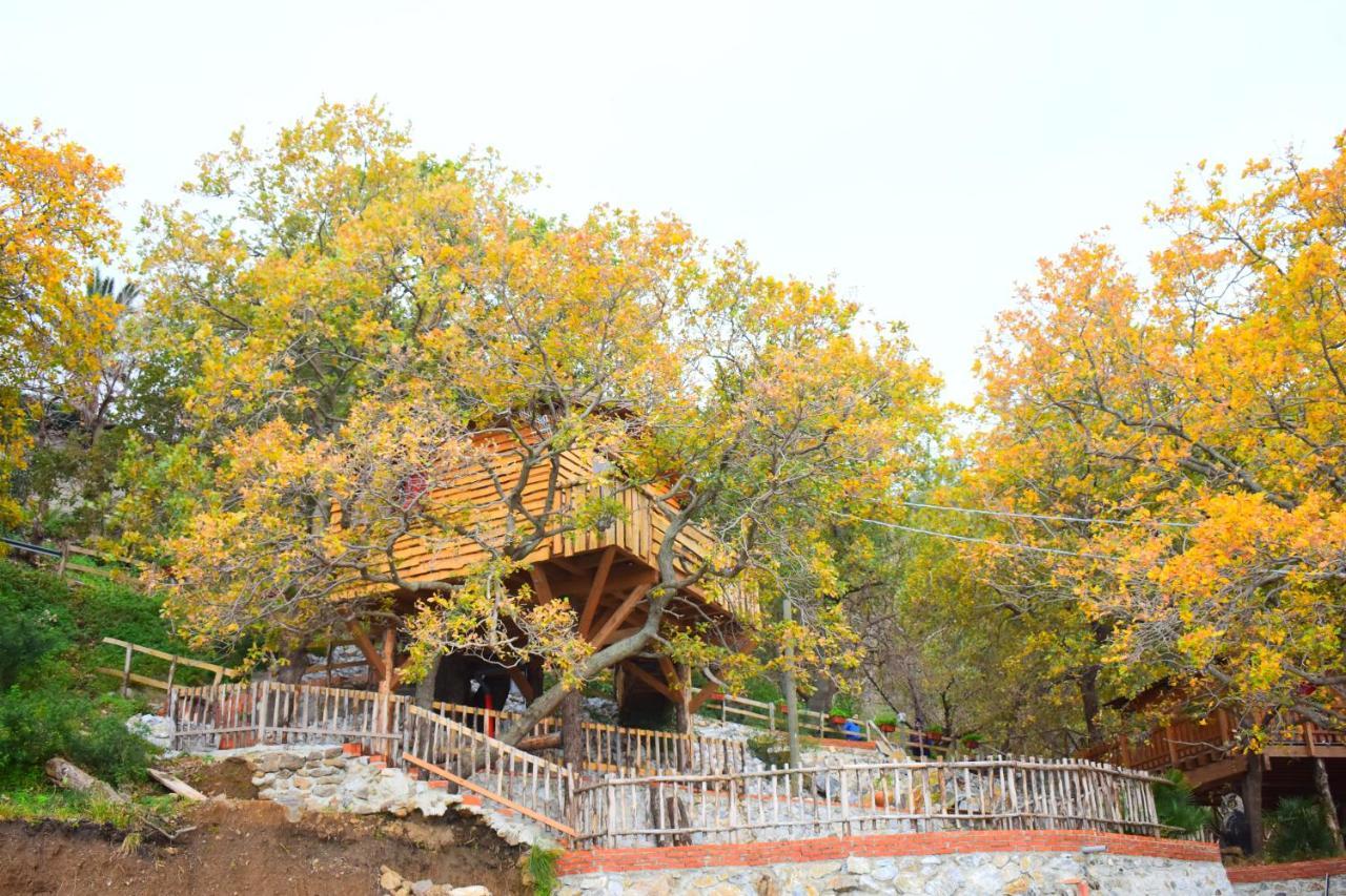 B & B Le Casette Sull'Albero Di Villa Alba Mesyna Zewnętrze zdjęcie