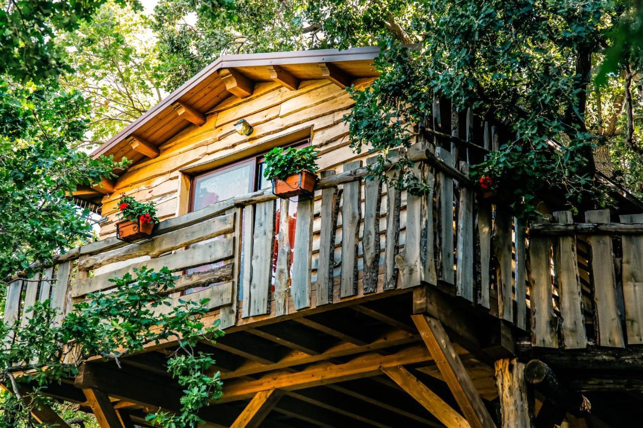 B & B Le Casette Sull'Albero Di Villa Alba Mesyna Zewnętrze zdjęcie