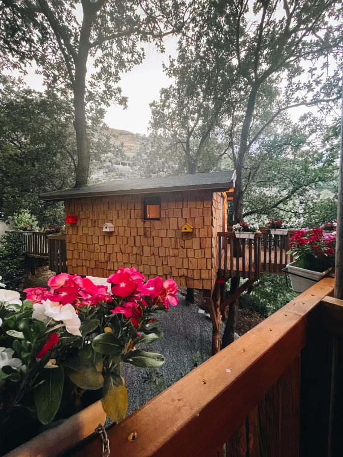 B & B Le Casette Sull'Albero Di Villa Alba Mesyna Zewnętrze zdjęcie
